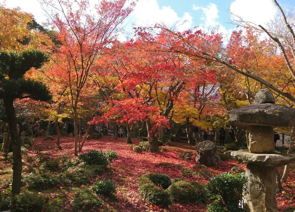 京都賞楓 圓光寺 十牛之庭背側 Pm 12 40 By Ian Medium
