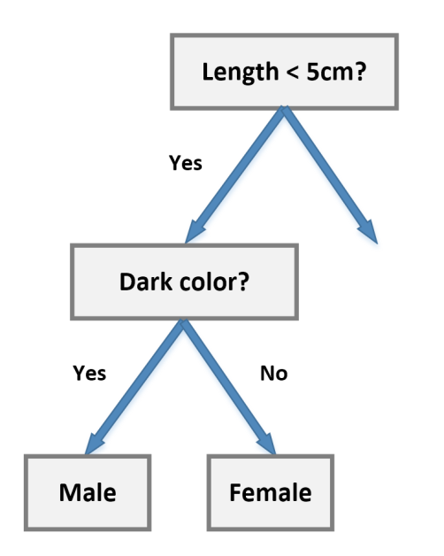 Binary Decision Trees A Binary Decision Tree Is A Structure By Packt Pub Medium