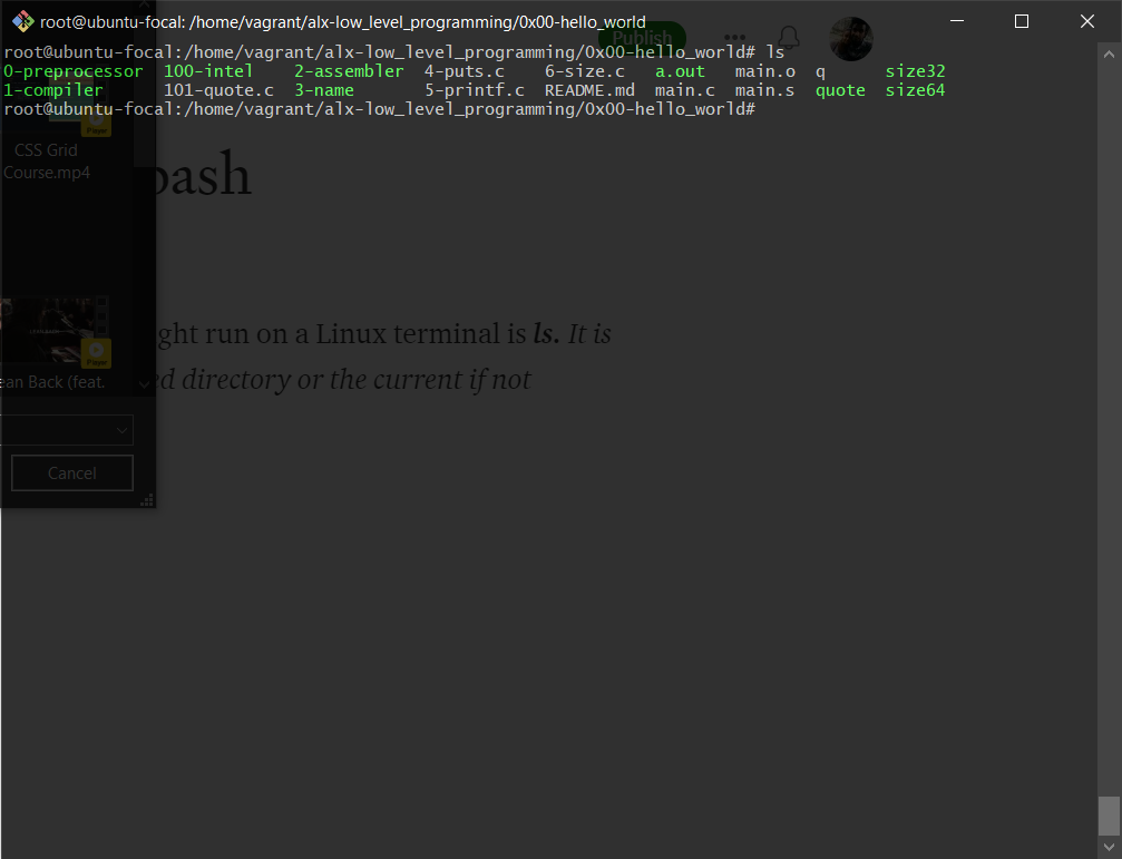 ls with * wildcard bash. For sure the very first command one… by Yohannes Terfa Aug, 2021