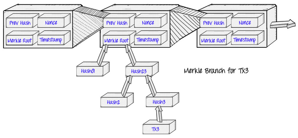 Implementing a Bitcoin Merkle Tree | by pancy | Medium