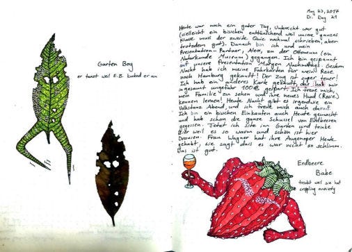 A graphical learning diary by one of the students, 2017