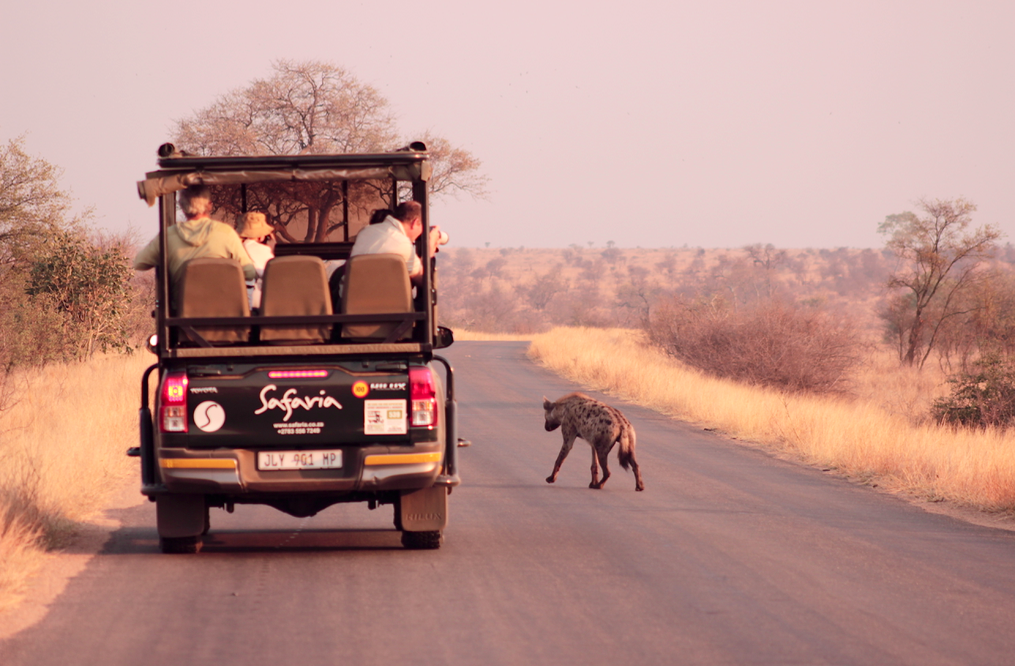 The Kruger National Park Was First Proclaimed In 1898 As The Sabie Game Reserve The Then Kruger National Park Medium