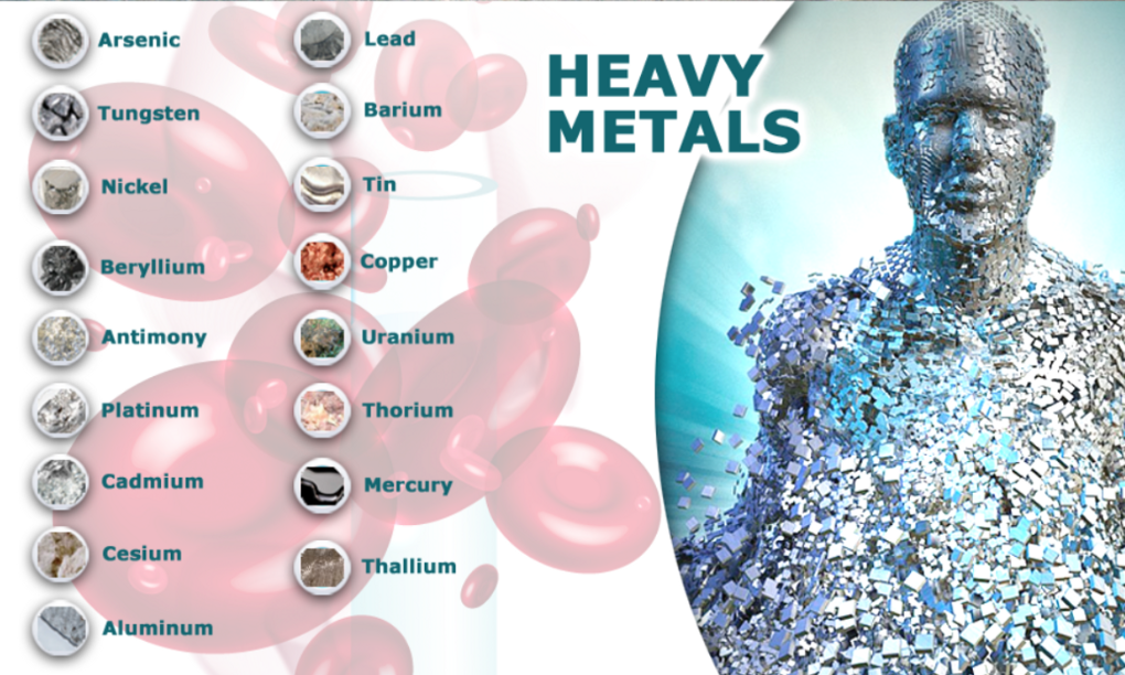 How simple binders remove toxins from the body James Lilley Medium