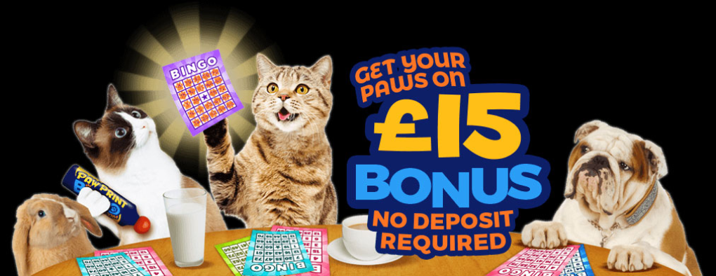 New no deposit bingo bonuses