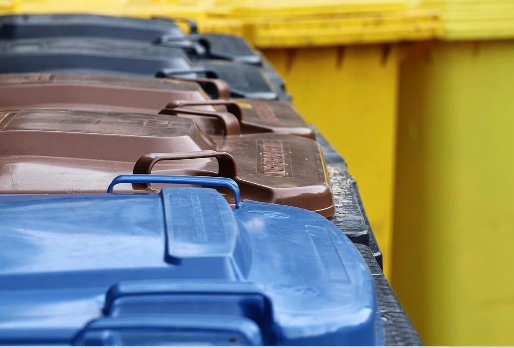 The Neighbor Who Puts her Trash in Our Cans by Mark Tulin The