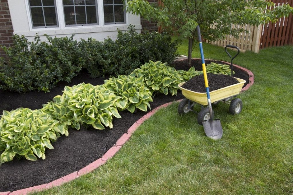 Gartengestaltung Und Gartenpflege Secheli Gartengestaltung Wien