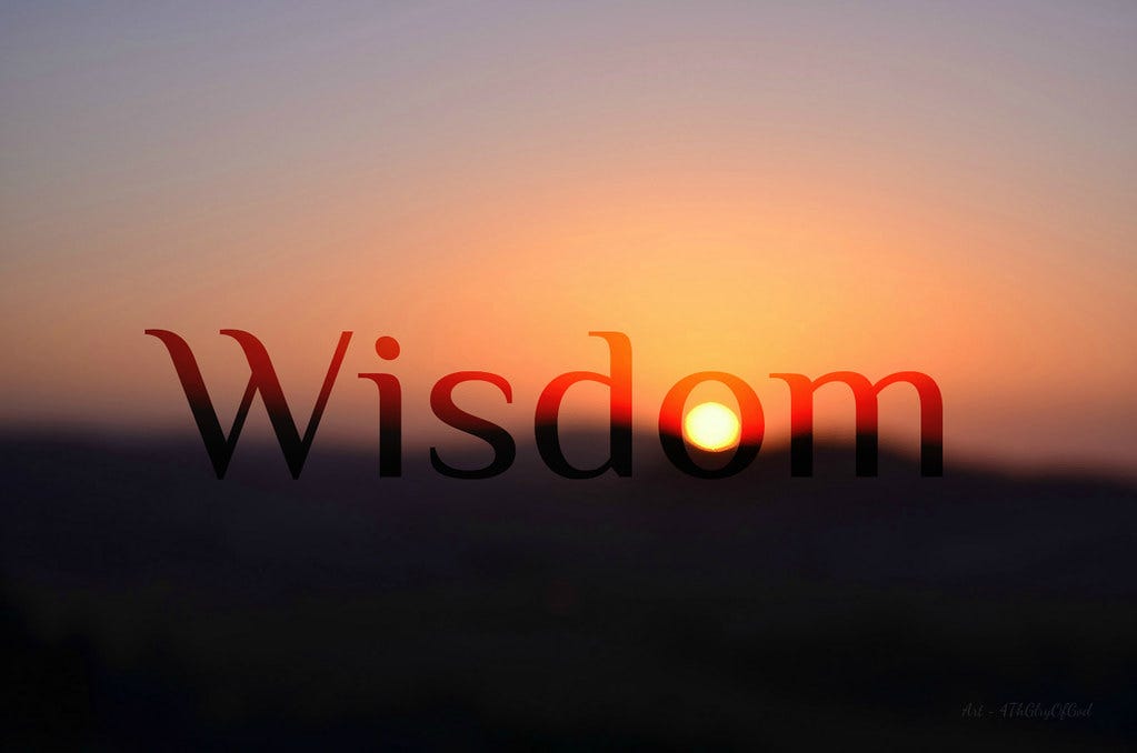 Humanity's Urgent Need for Wisdom | by Jennifer Mara Gumer | The ...