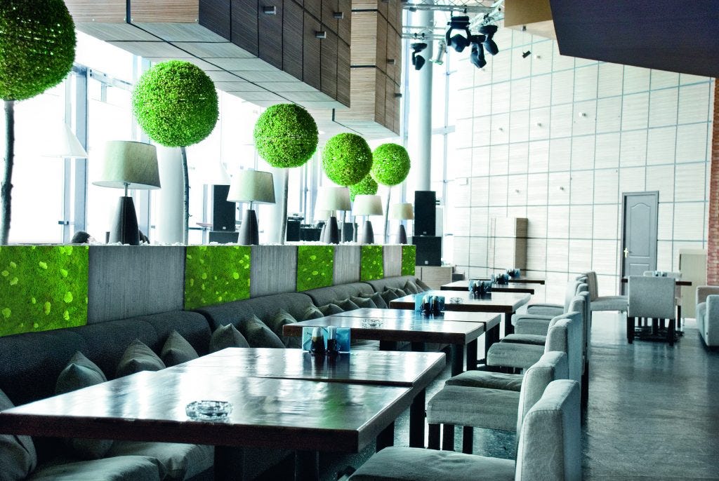 Doing The Right Thing Why Hotels Are Embracing Biophilic Design