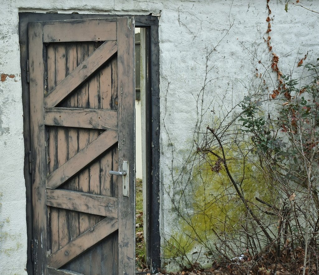 How To Break Down A Door Survival Cat Medium