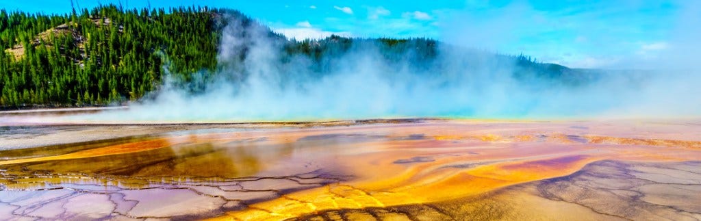 Archaea-virus arms race in volcanic hot springs | by Research Features ...