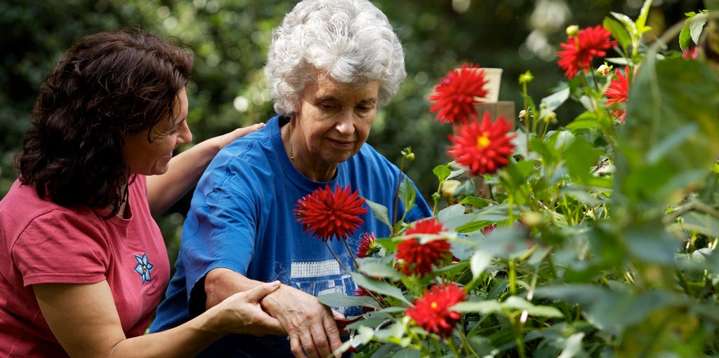 Garden Therapy For Depression, Arthritis and Stress Relief | by Tammy Sons  Owner of Tennessee Wholesale Nursery | Thrive Global | Medium