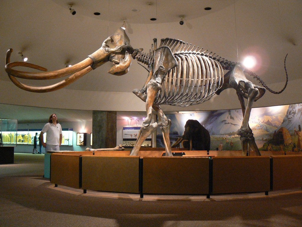 “Bring Back the Wooly Mammoth?” Asks New York Times… by NYU Local NYU Local