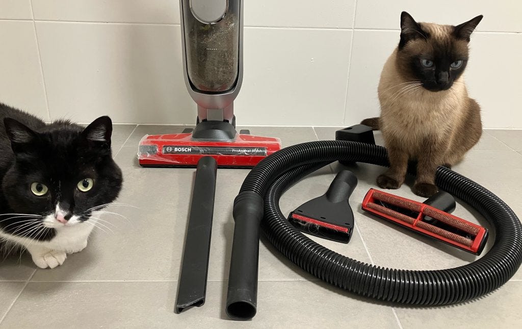 Indispensables y recomendaciones en la limpieza del hogar con gatos y  perros | by Verónica Valls | gorogoro: purr & roll! | Medium