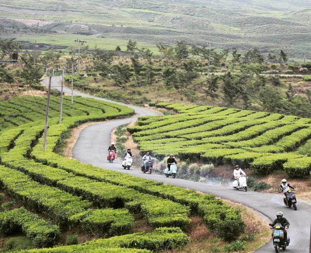 5 Objek Wisata Kebun Teh Yang Terkenal Miliki Pemandangan Cantik