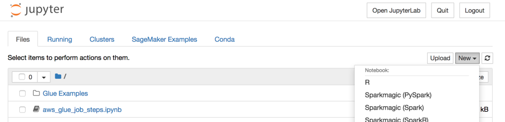 AWS Glue PySpark -Jupyter Notebook