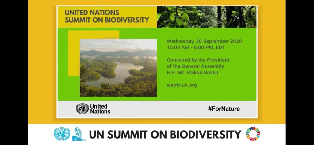 UN Biodiversity Summit