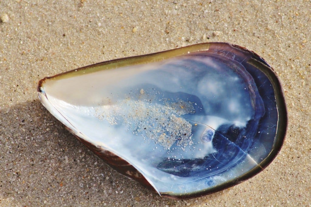 The World Is Our Oyster Wield The Sword Of Words And Its Riches By Shadows Pub Out Of The Shadows Medium