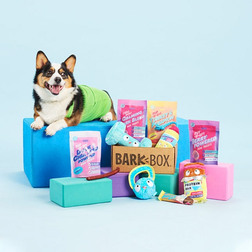 chewy monthly box