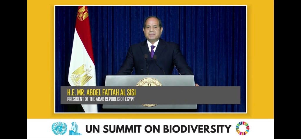 Mr. Abdel Fattah al Sisi, Egypt