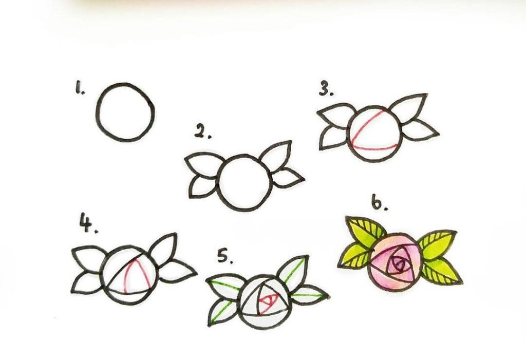 How to draw rose flowers