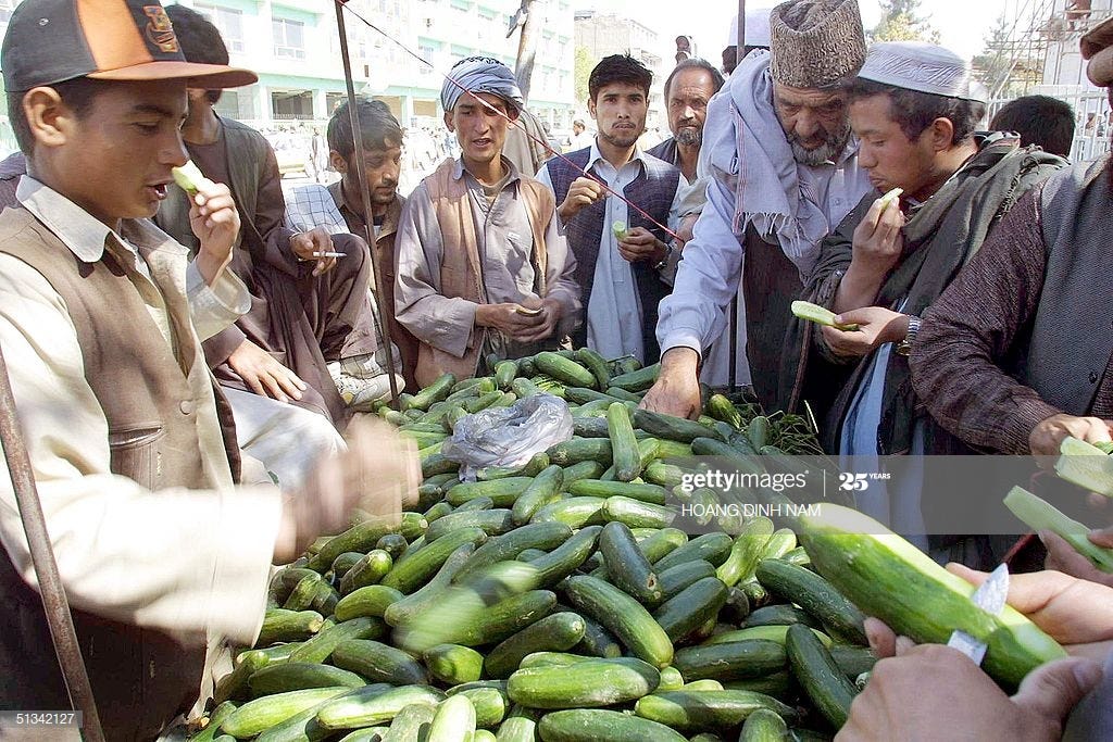 13 Reasons why Cucumbers are better than men! | by Riku Arikiri | Medium