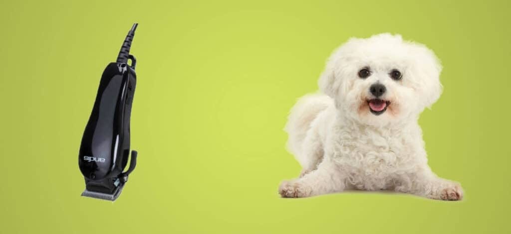 dog clippers for bichon frise