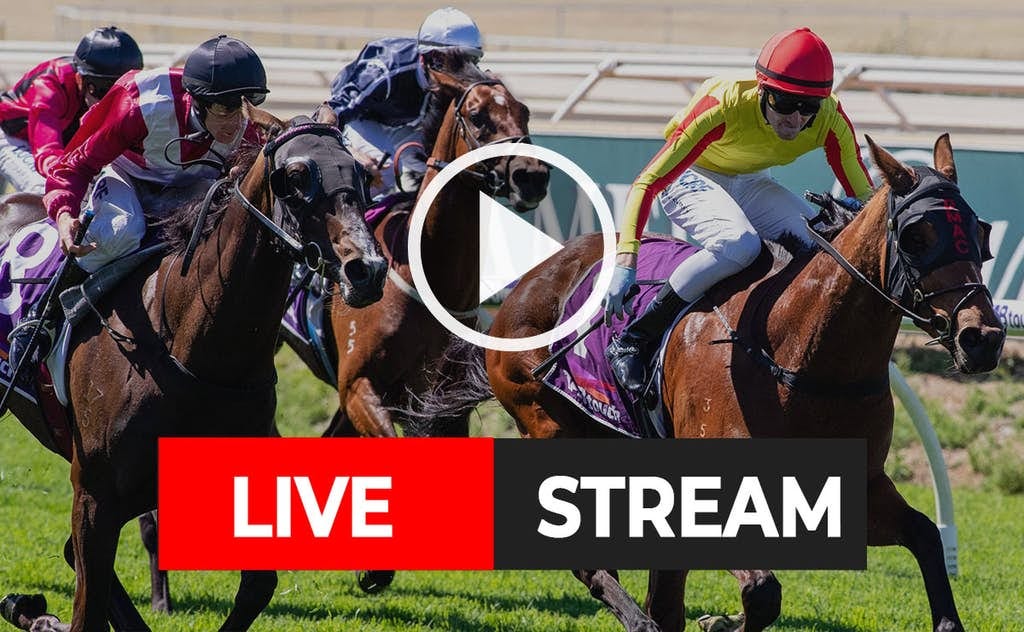 Free live horse racing stream
