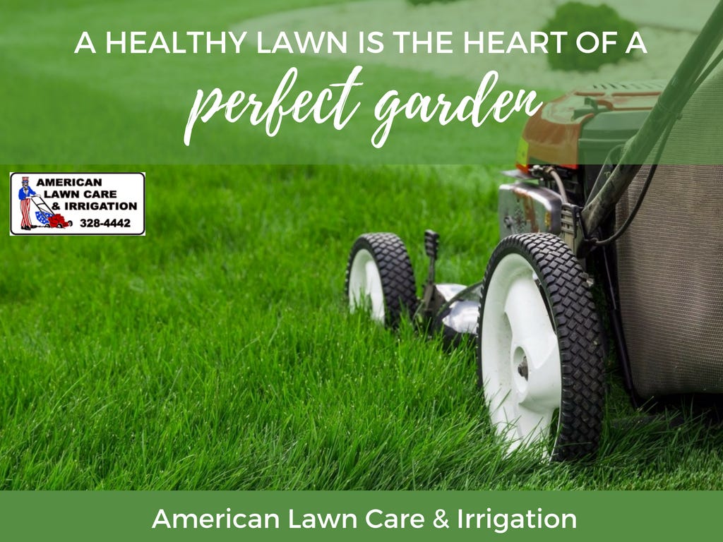 A Beautiful Yard Starts with a Good Lawn | by American lawn Care &  Irrigation | Medium