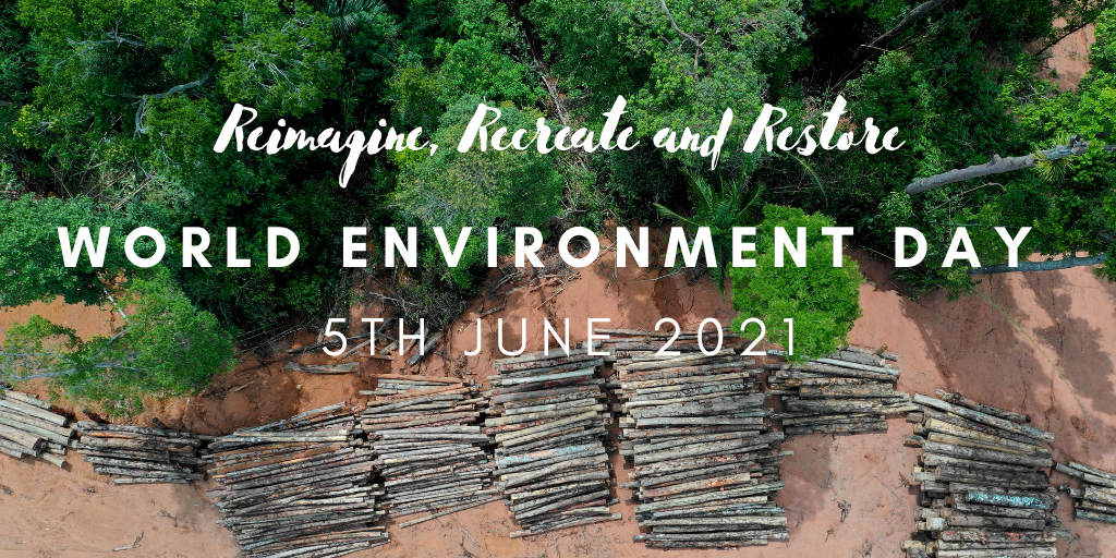 World Environment Day 2021: Reimagine, Recreate and Restore | by Leyla  Acaroglu | Disruptive Design | Jun, 2021 | Medium