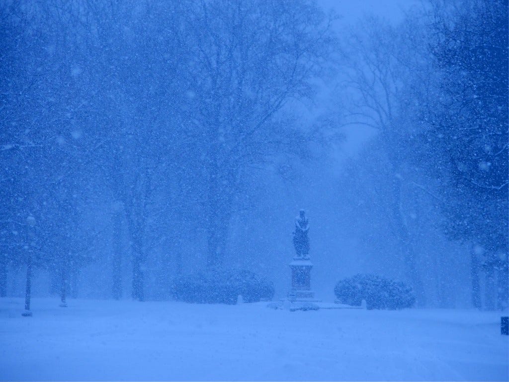 Snow in Silence