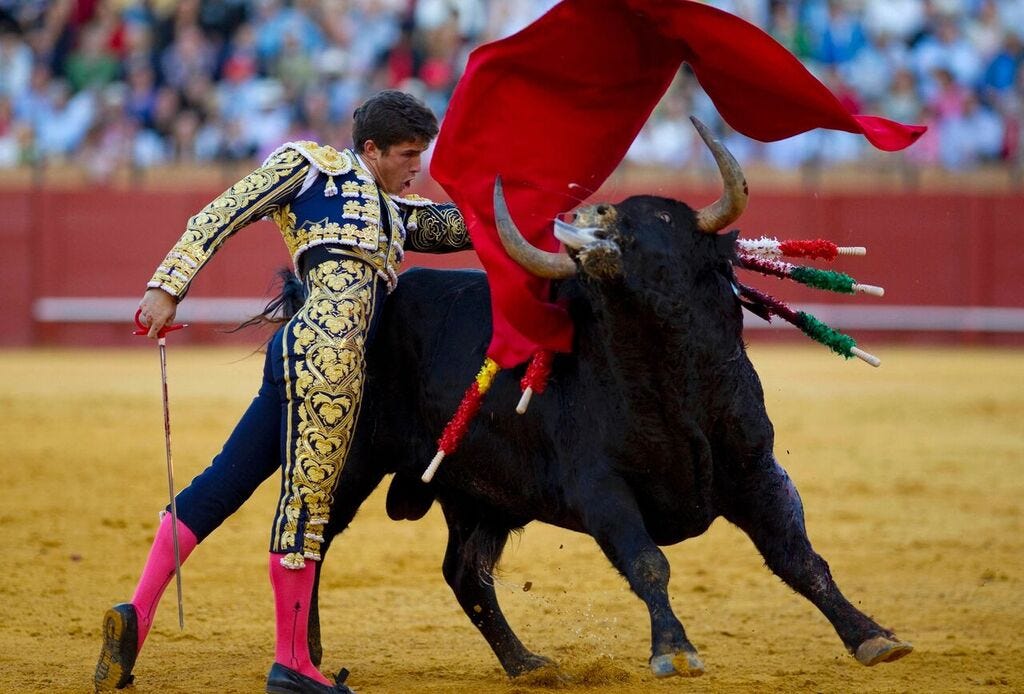 Image result for bullfighting