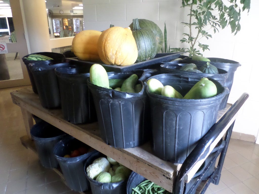 Facilities Donate Fresh Produce To Feed Those In Need Statewide