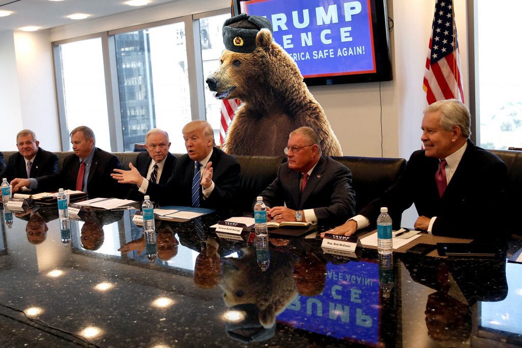 Letters from Boston A Trout in the Milk by Martin O'Malley Medium