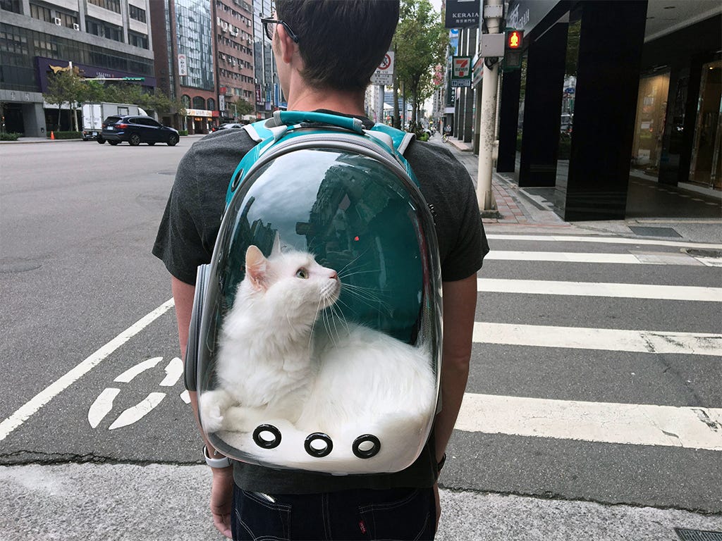 lollimeow backpack