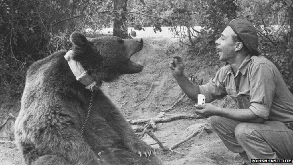 Wojtek, l'ours qui rejoignit l'armée polonaise pendant la Seconde Guerre mondiale - Cultea