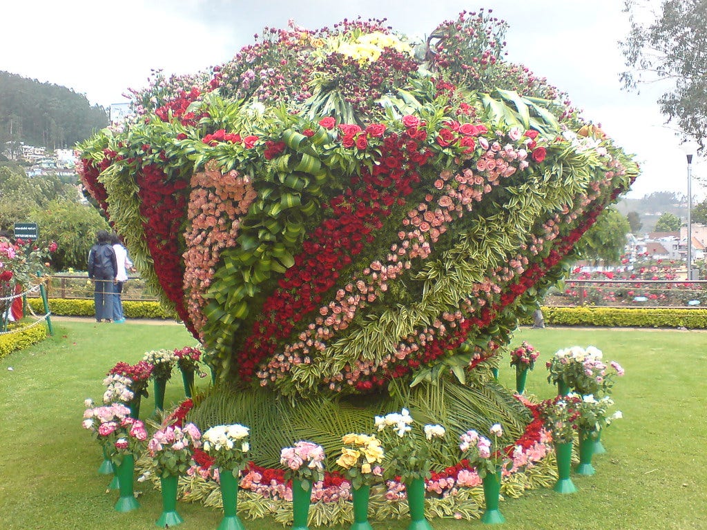 Government Rose Garden Ooty.