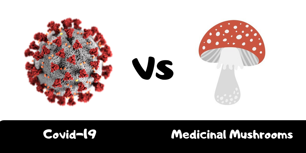 Boost your Immune System with Medicinal mushrooms (during the Covid19