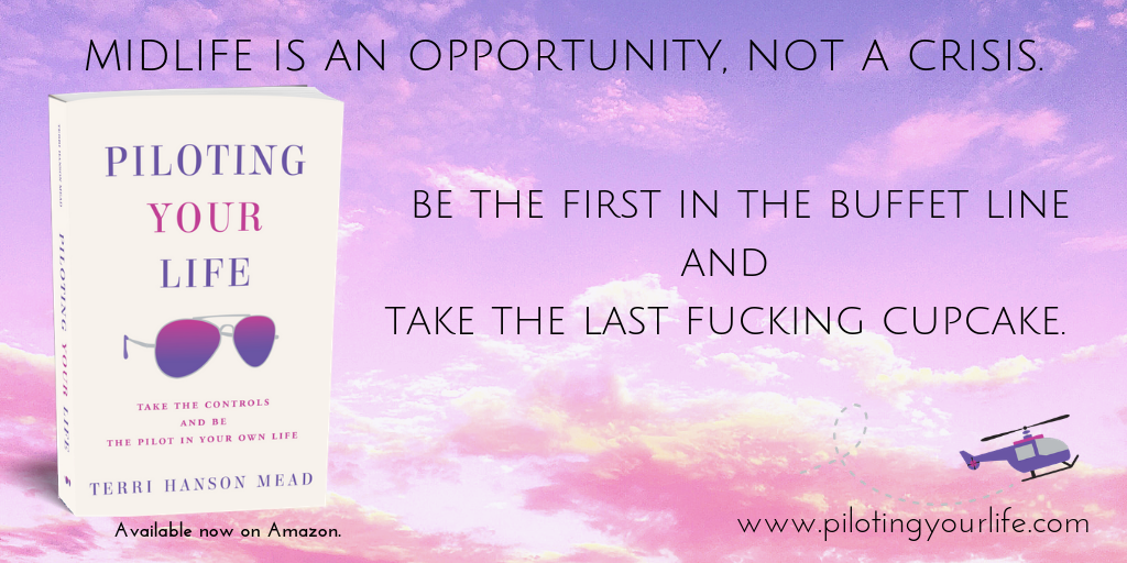 Piloting Your Life The Book Is Live Terri Mead Medium