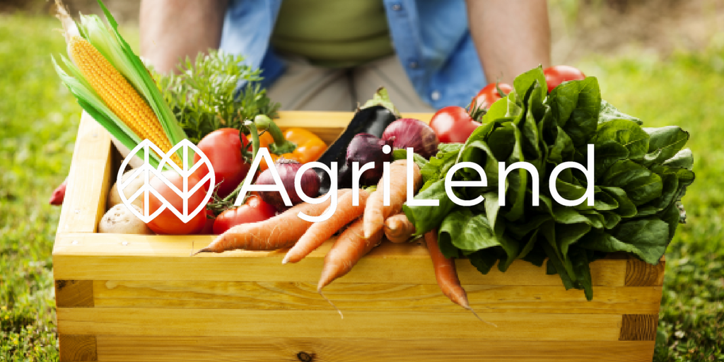 La filière maraichage en France 🥕 🇫🇷 🍑 | by Clémence Dinneweth | AgriLend