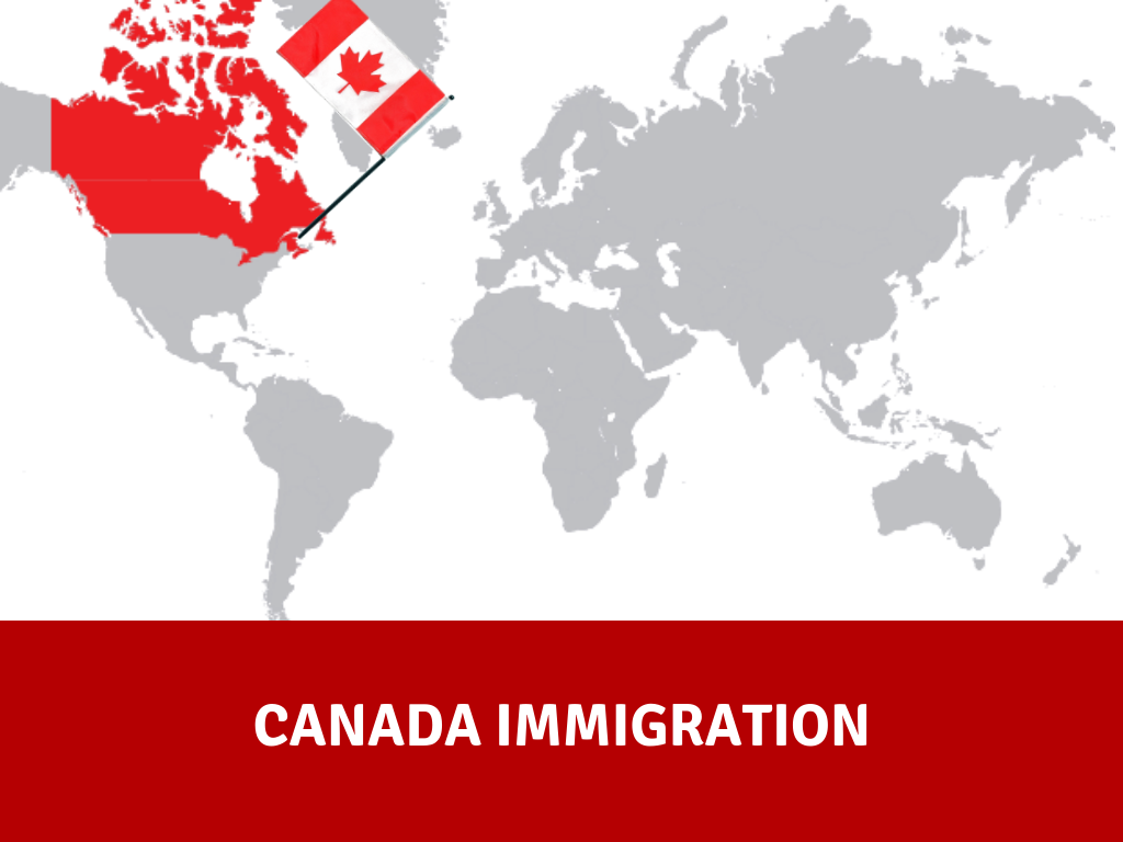 Why Should You Depend On The Professional Consultants For Canada