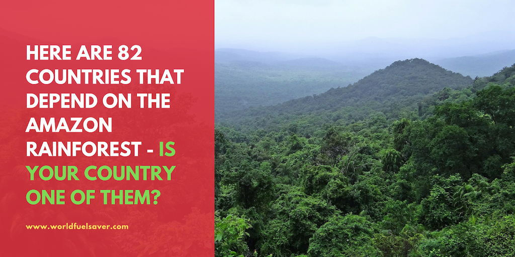 You Live In A Country That Depends On The Amazon Rainforest To Survive