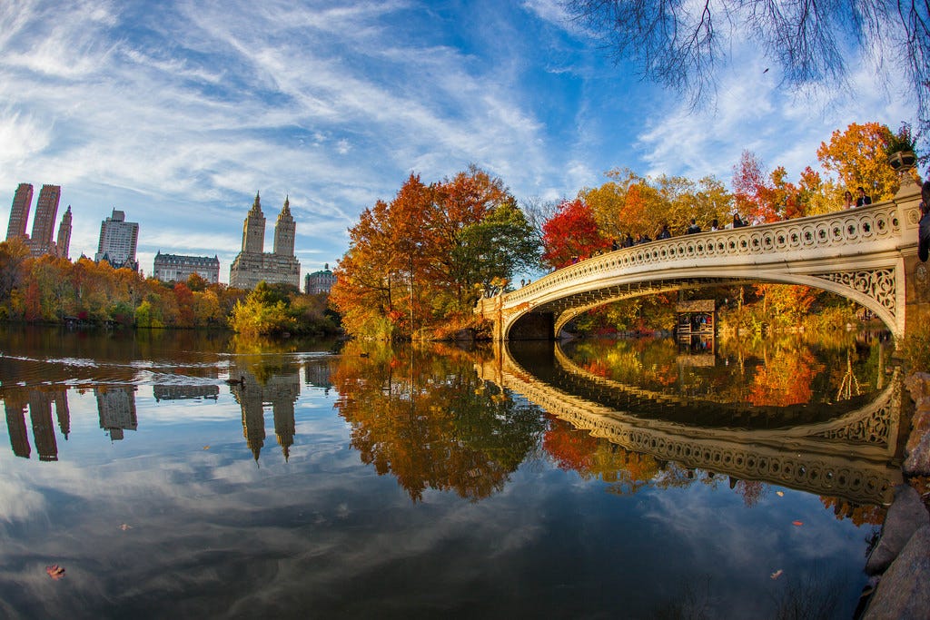 Important Things During Vacation at New York City | by abbiclarke | Medium