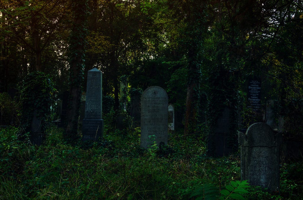 Crybaby. The definition of bravery is doing what… by Thorne Medium