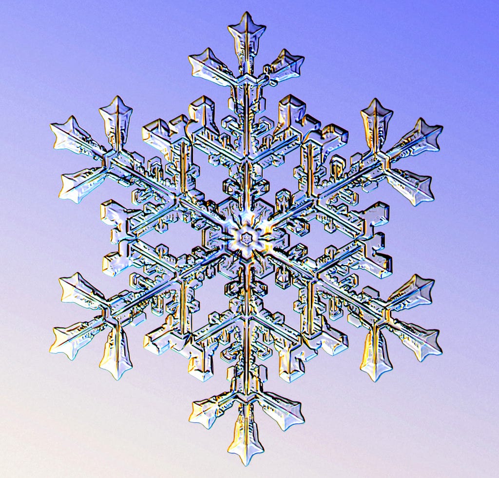 I Am A Snowflake. I am a SNOWFLAKE. | by Kurt Cagle | The Cagle Report |  Medium
