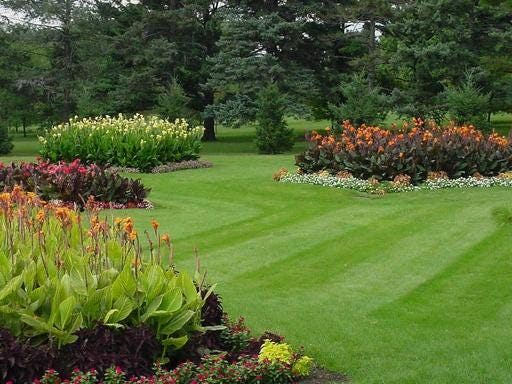 Low-impact, Low Maintenance Landscaping For Your Home 