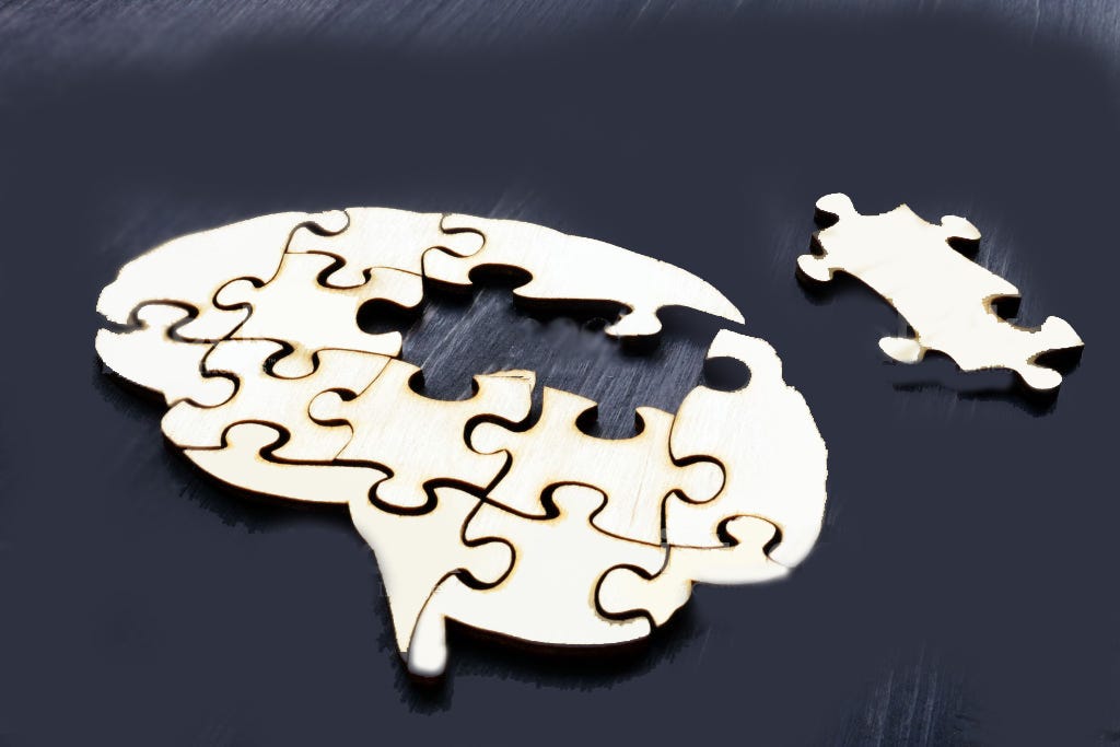 Why We Need Mathematics To Understand The Brain By Gabriel A Silva Cantor s Paradise