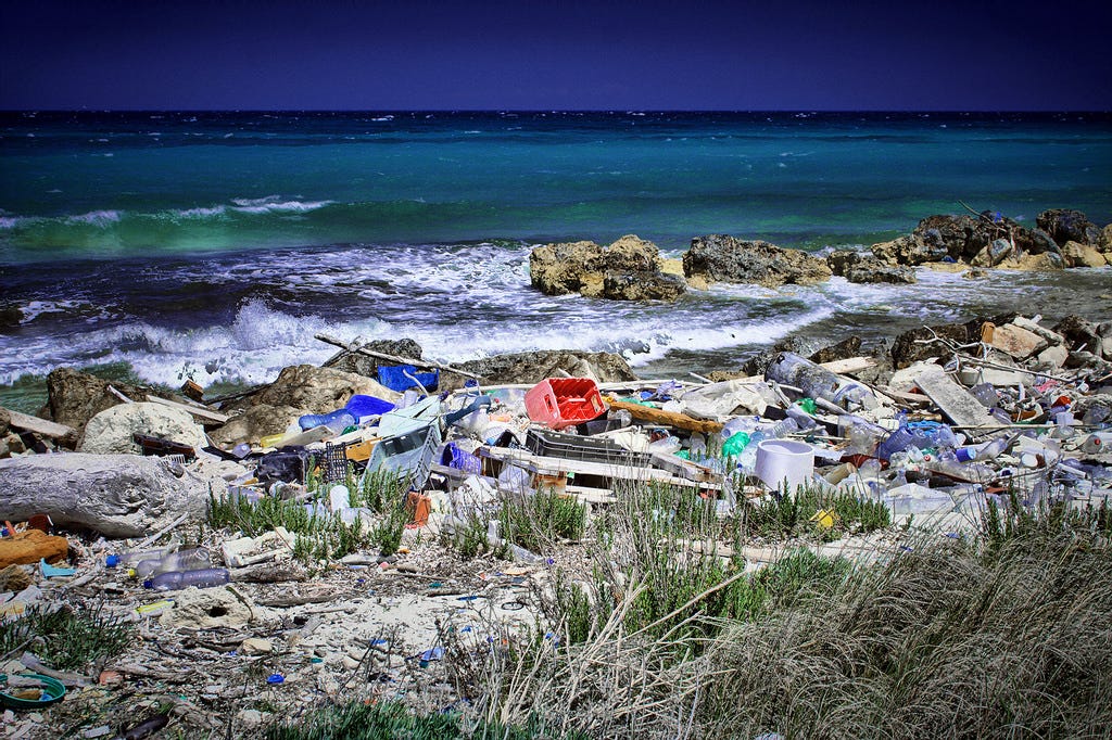 can-nature-help-solve-the-plastic-problem-by-cameron-brown