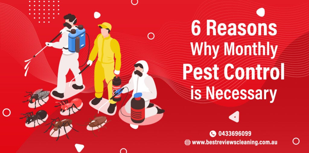Reasons For Your House Requires Monthly Pest Control Service By Best Reviews Carpet Cleaning And Pest Control Feb 2021 Medium