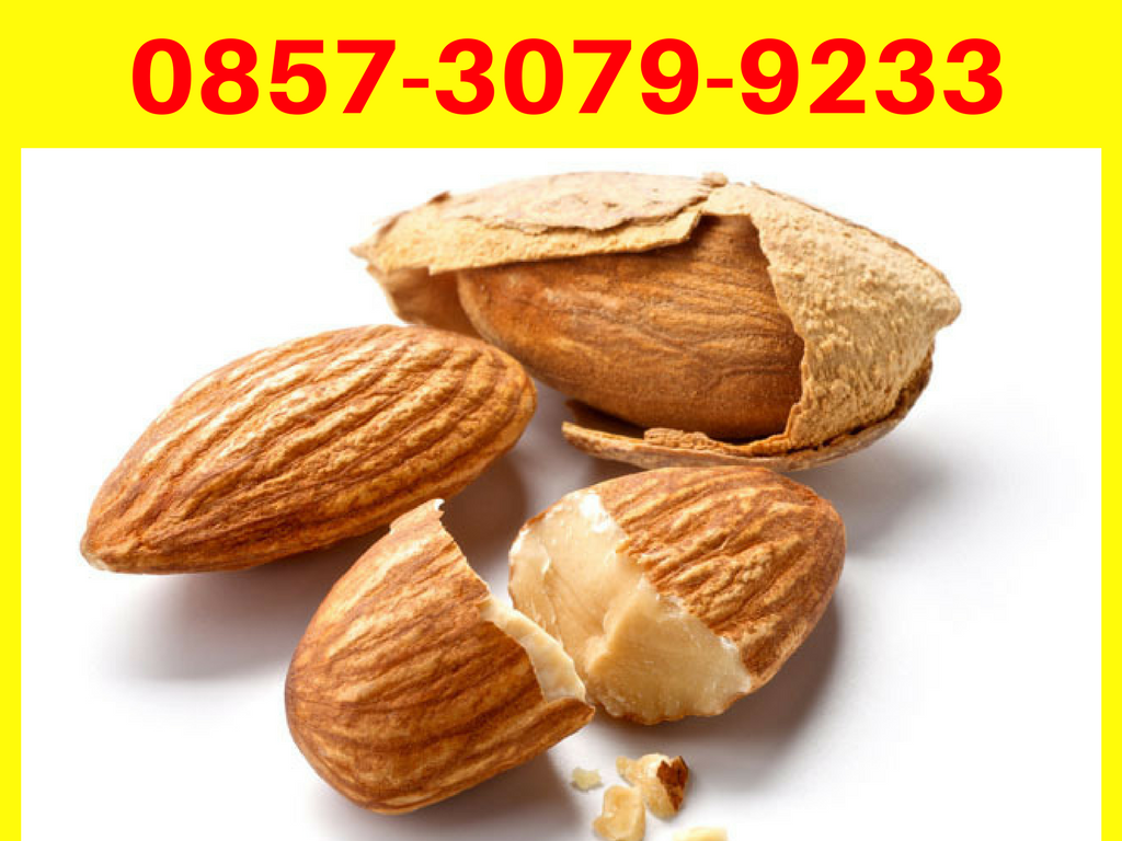 0857 3079 9233 Dimana Beli Kacang Almond Di Bandung By Tepung Kacang Almond Medium