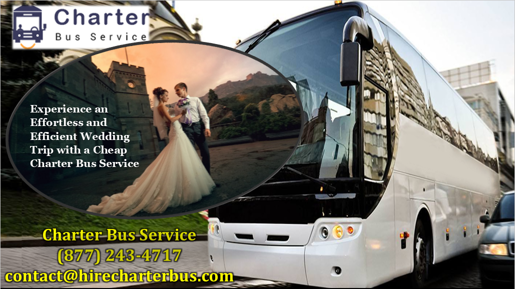 Experience An Effortless And Efficient Wedding Trip With A Cheap